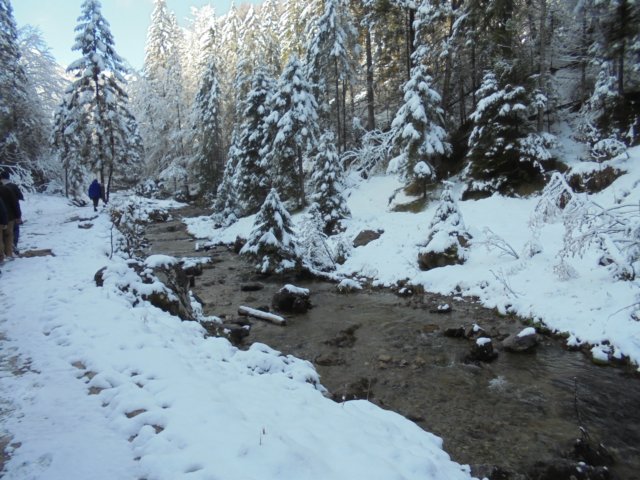 dsc03803.jpg